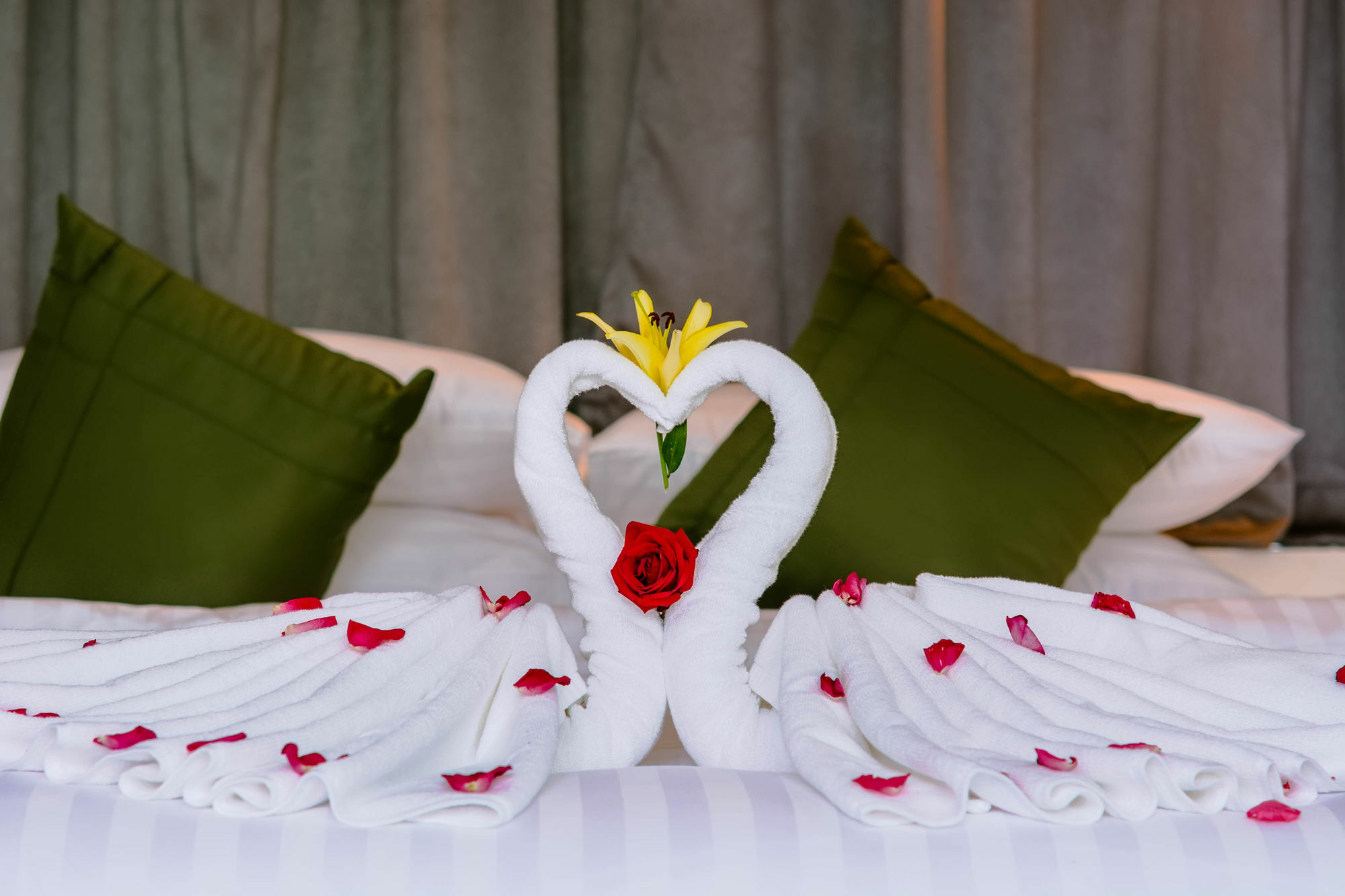 Ring Boutique Hotel Siem Reap Luaran gambar